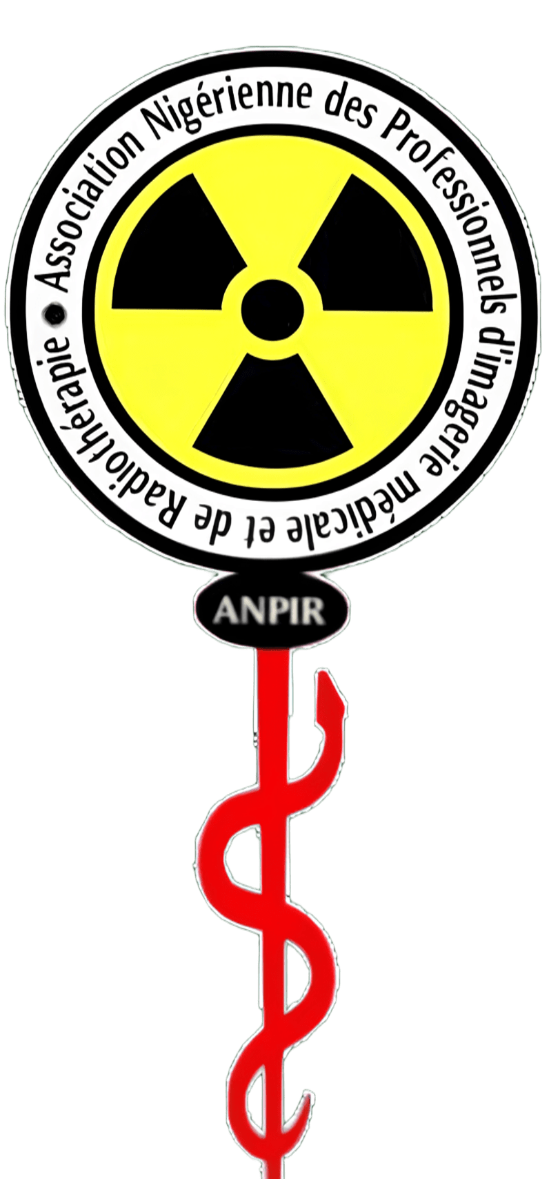Logo de l'ANPIR